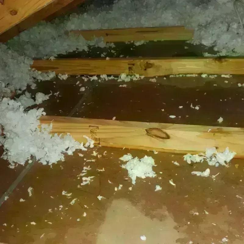 Attic Water Damage in Eastham, MA